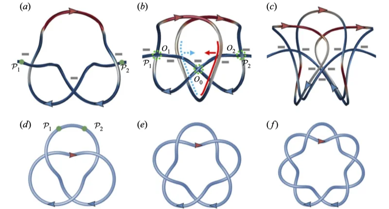 Research figure from the original academic homepage