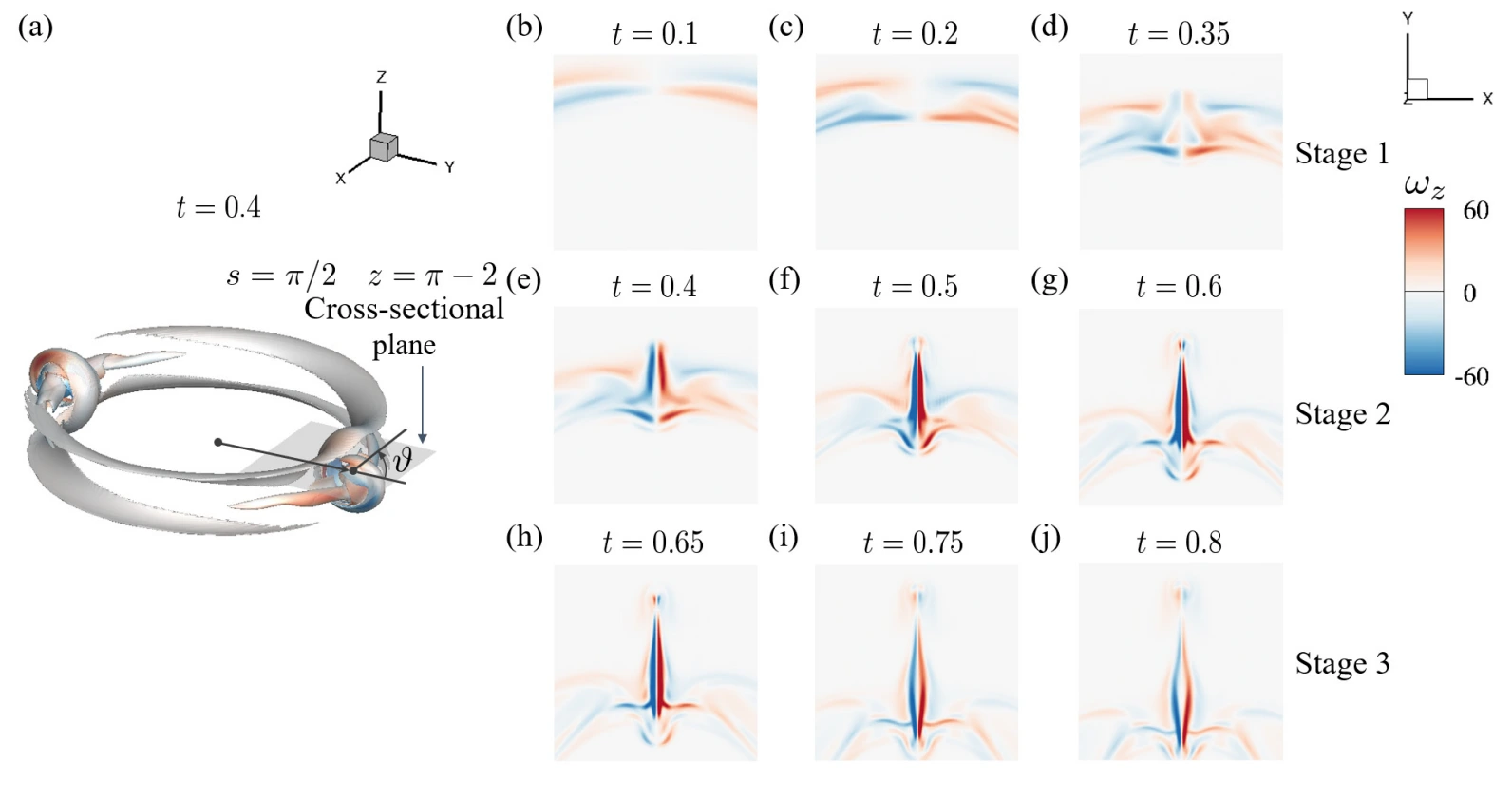 Vorticity evolution across the three bursting stages (Figure 8)